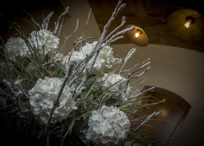 Hisa Na Travniku * Dob